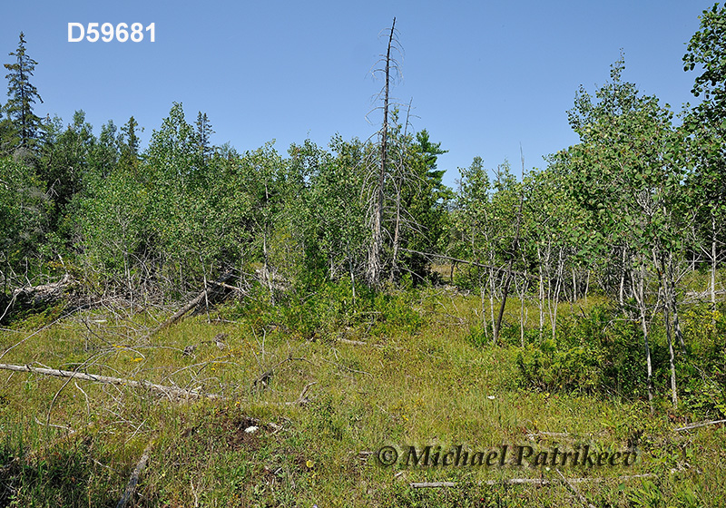 Burnt Lands Provincial Park